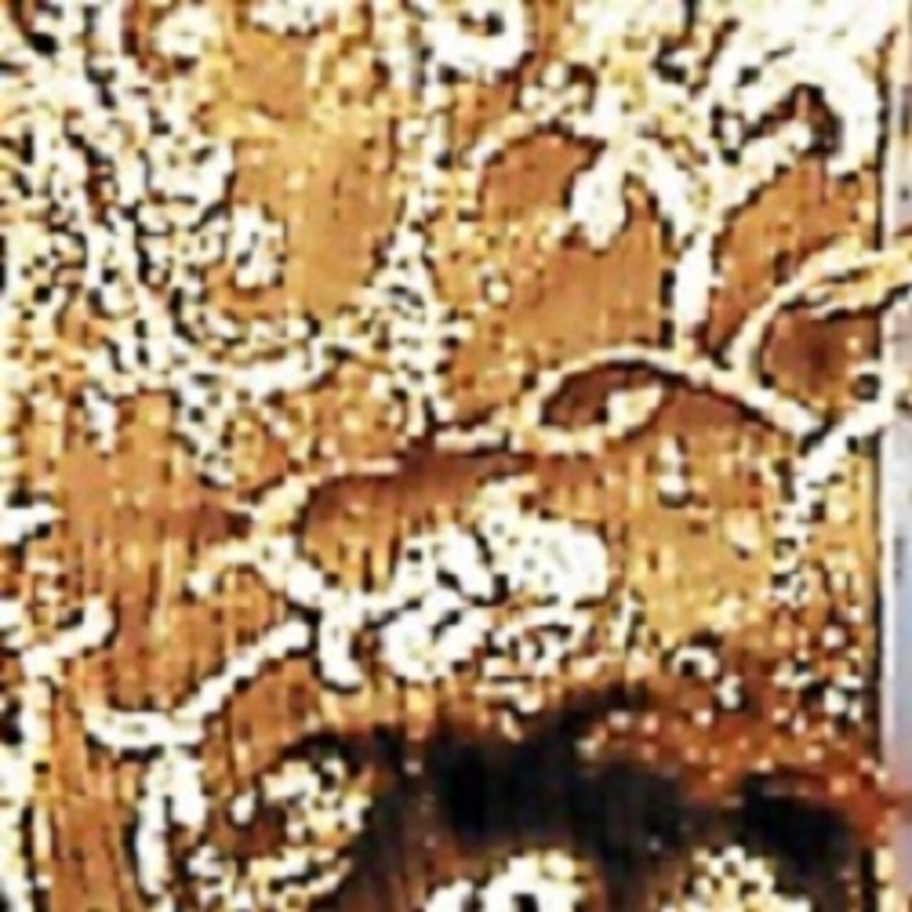 The Ribbon People Copper Brown and Gold Sheer Wired Craft Ribbon 2.5" x 20 Yards